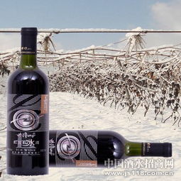 紫隆山紅寶石冰酒 品味時光凝萃，共創財富未來——通化紫隆山葡萄酒廠火熱招商