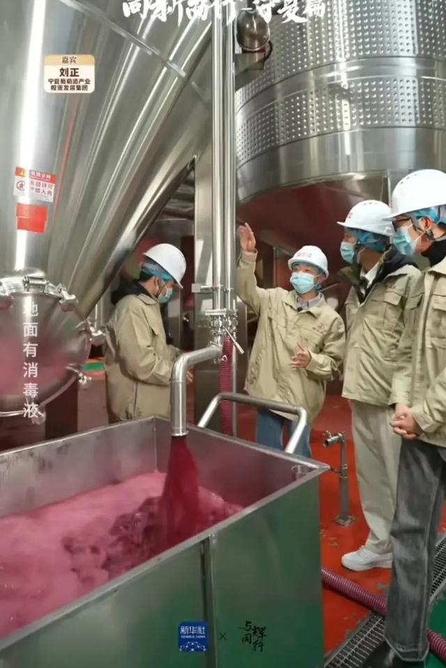 隨董宇輝寧夏行 探秘葡萄酒的誕生，品味杯中人生百味